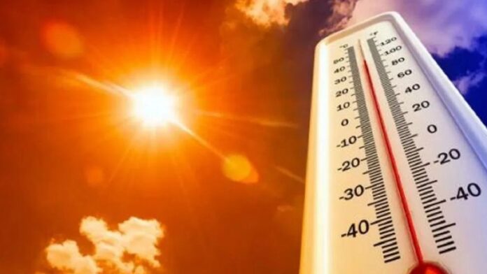 Summer Temperatures