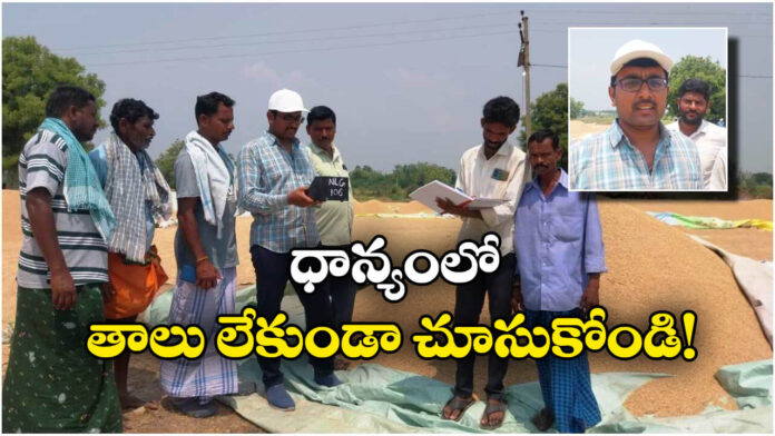 No Chaff in Paddy: Key Guidelines Issued by Agriculture Officers to Farmers